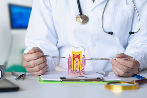 Best Emergency Treatment for Toothache in , ME